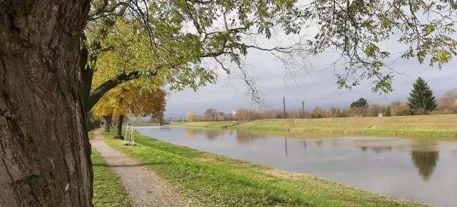 Štěpky_1 Štěpky_1
